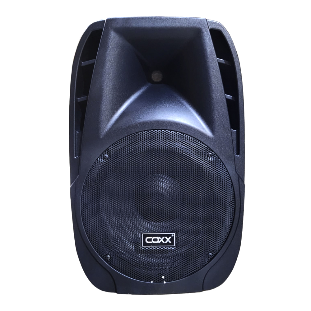 CAJA ACUST. PARLANTE PASIVA 12 AK - 12P 600W COXX