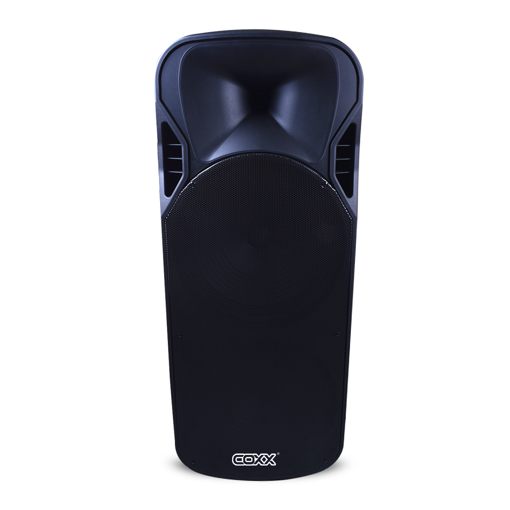 CAJA ACUST. PARLANTE PORT-2X15 C/2 MICROF.MEE-214 MIC COXX  