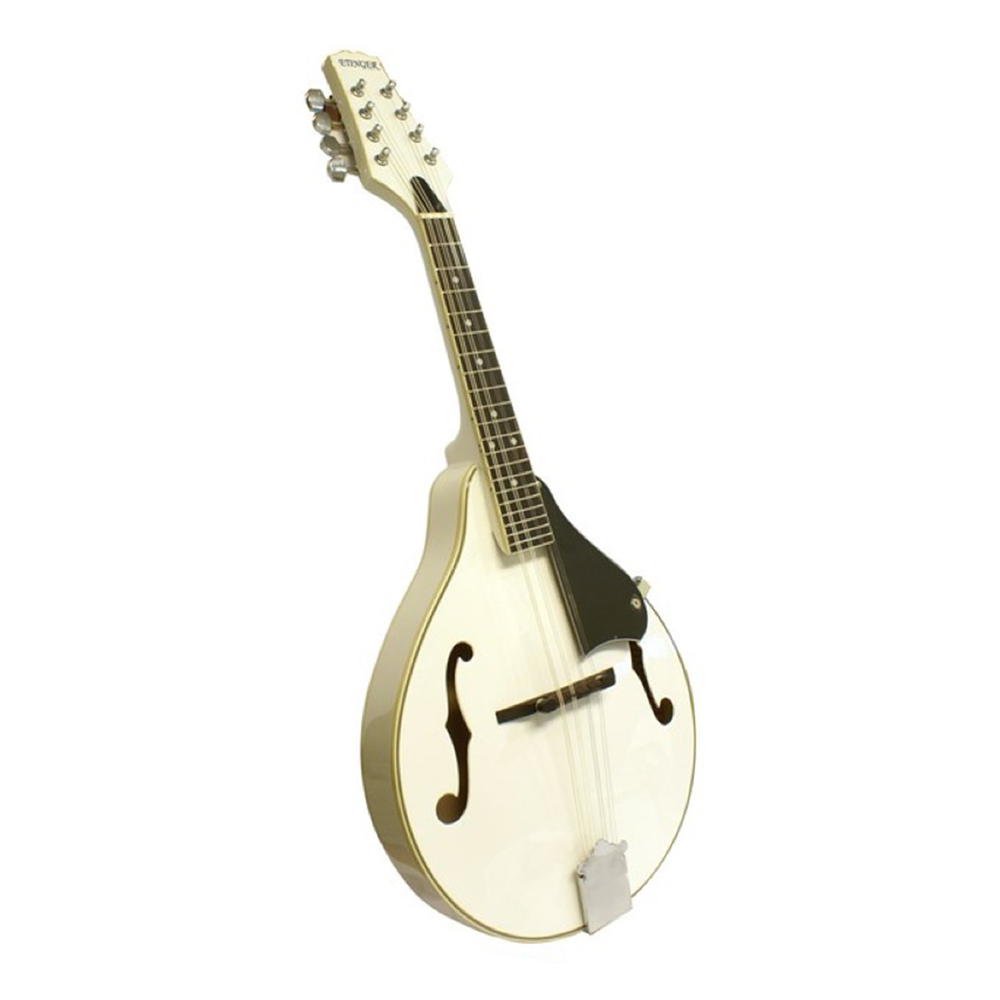 MANDO.8CDA/BLANCO C/FDA.SCH-100/WH.ETINGER 