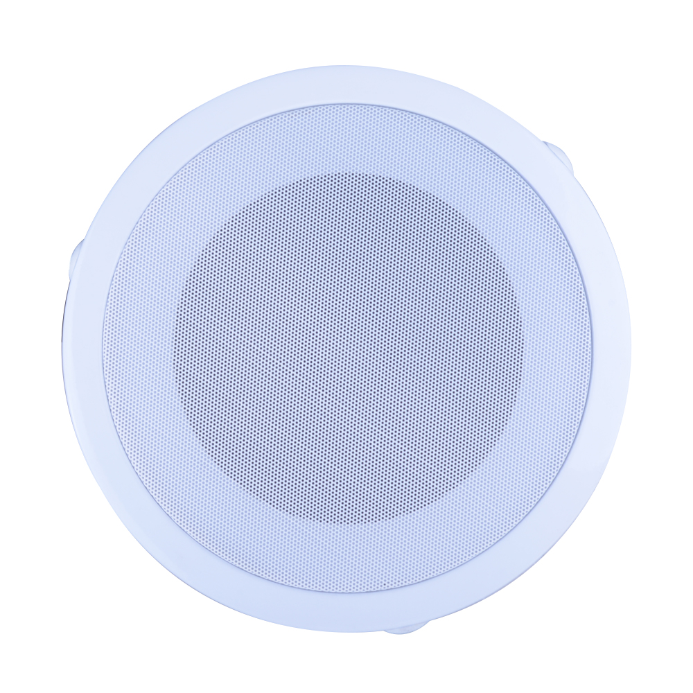 PARL. CIELO (REJ.8-PAR 6 T. LINEA) CARVERPRO    