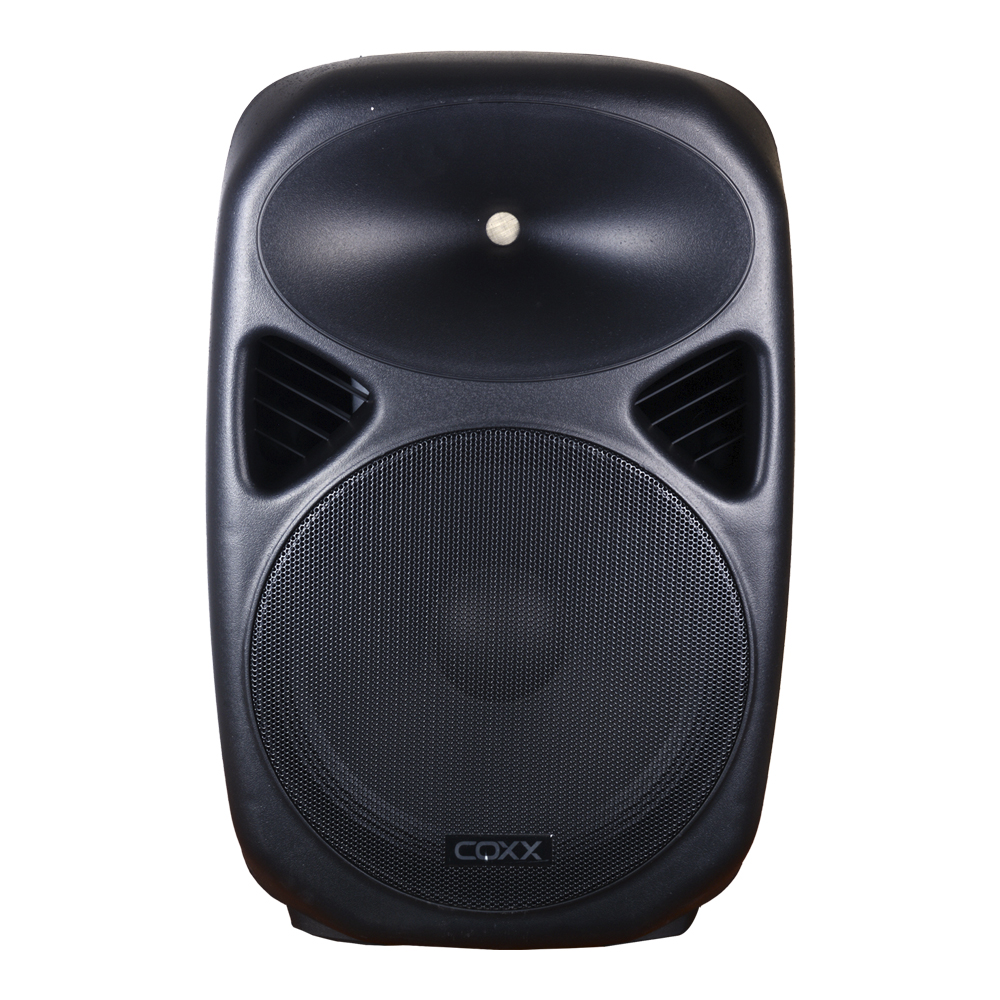 CAJA ACUSTICA PARLANTE 15´ PASIVA 700W MODELO LCSW1519P COXX     