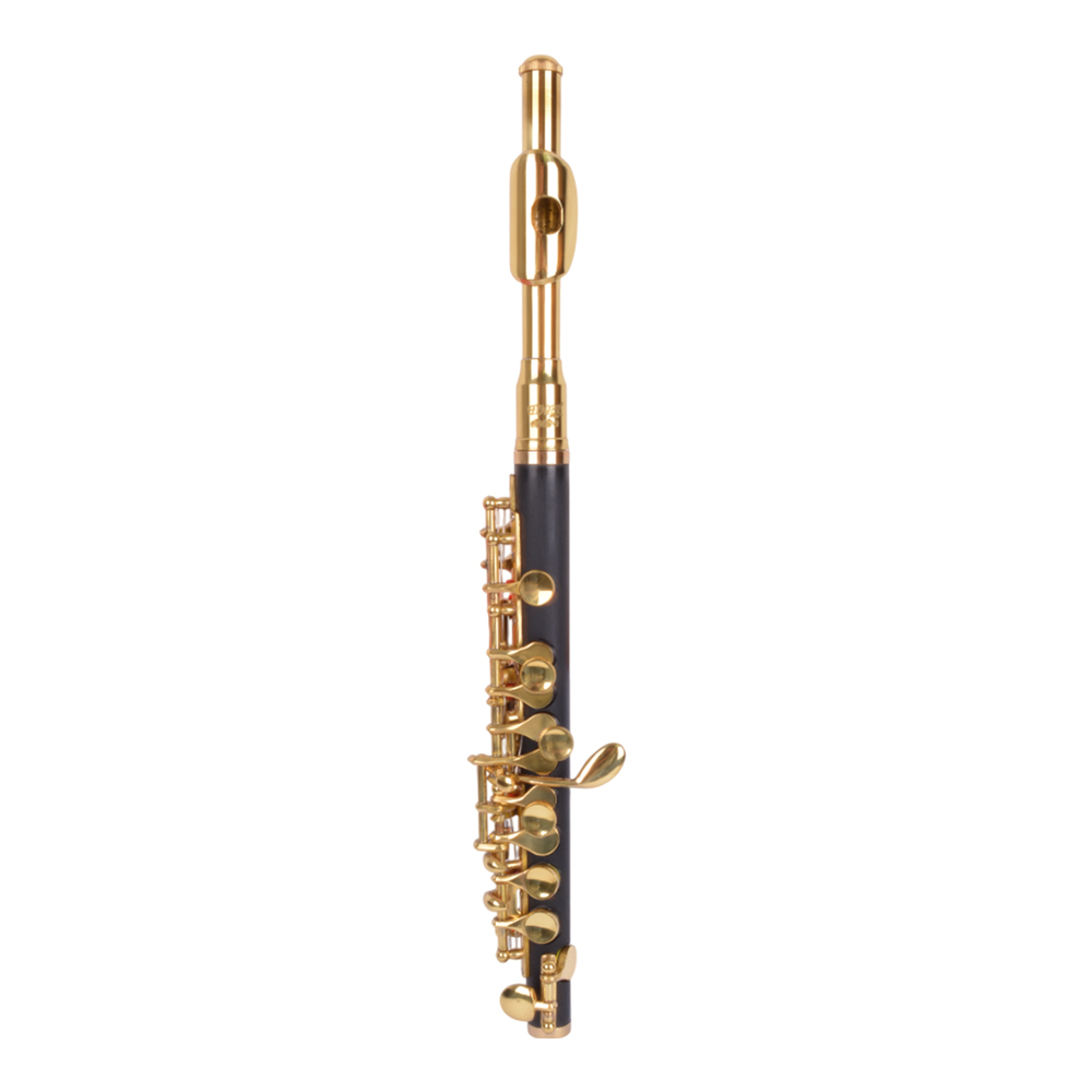 PICCOLO NOTA C GOLD PCC-115 ETINGER               